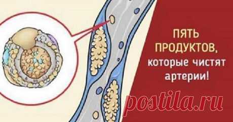 Пять продуктов, которые чистят сосуды от холестерина! Пять продуктов, которые чистят сосуды от холестерина!