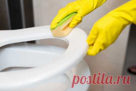 Уборка санузла: способы, чтобы ванная и туалет сияли чистотой