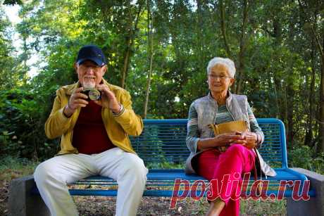 Пенсионеры, не попадитесь в ловушку самозанятости | Честный юрист | Пульс Mail.ru