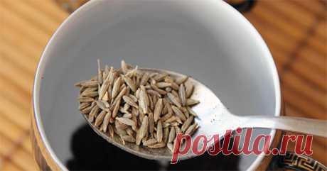 Семена тмина помогут быстро избавиться от подкожного жира. | Жизнь Женщины | Страница 2