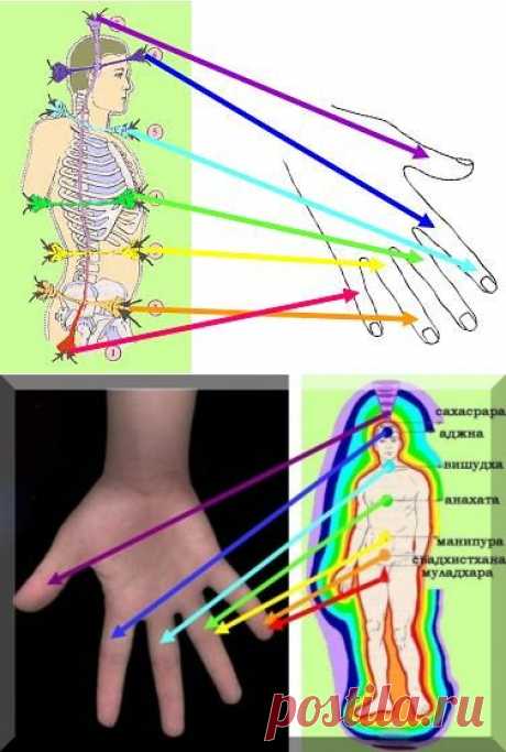 ЧАКРЫ НА ПАЛЬЦАХ.