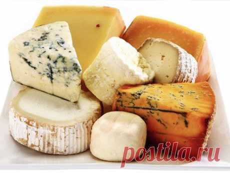Как приготовить домашний сыр Моцарелла, Филадельфия, Маскарпоне, Янтарь