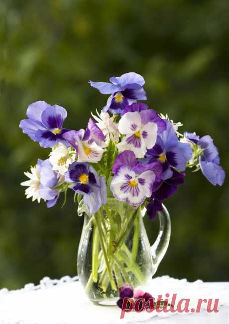 Durch die Blume - Gartenzauber