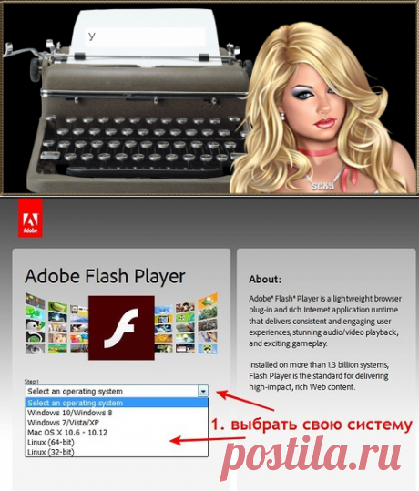 Как включить плагин Adobe Flash Player в браузерах