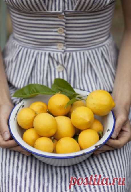 Лимон сильнее химиотерапии в 10 000 раз Golbis | Golbis