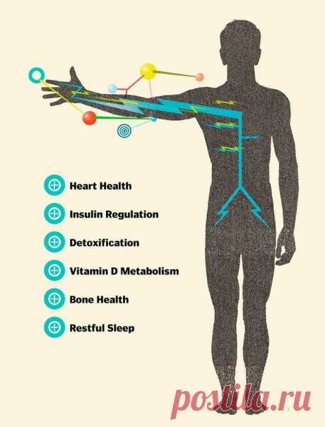 Для чего организму нужен магний / Будьте здоровы