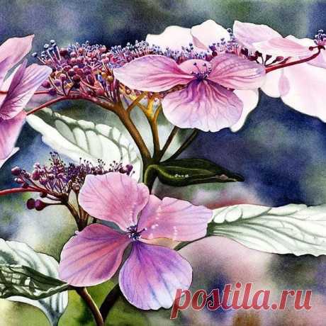 Photo by Акварель 🌟 Скетчи 🌟 Watercolor in Парк Горького. May be a closeup of flower.