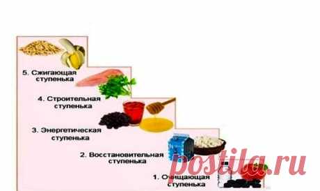 Что такое диета лесенка и как правильно ее соблюдать