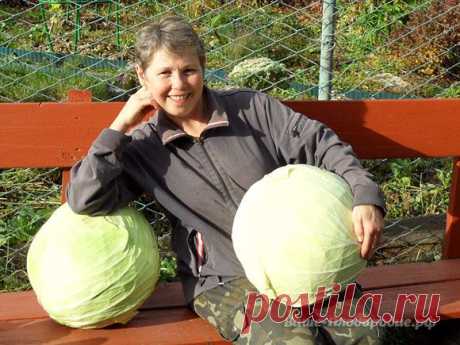 Галина Донова — Ваше Плодородие