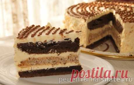 Шоколадный торт с ореховым безе − Кулинарный сайт Шате