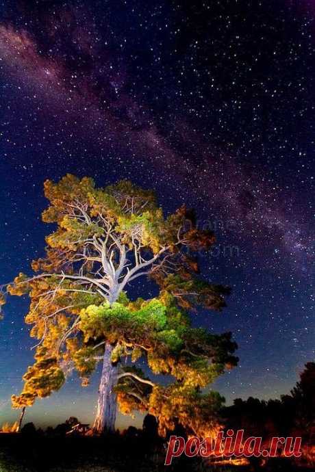 Milky Way, New South Wales - Australia | Incredible Pics