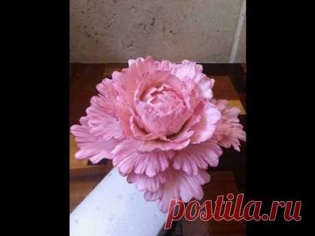 How to Make a Gum Paste Peony - YouTube