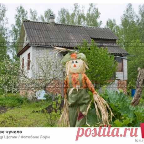 КАЛЕНДАРЬ РАБОТ В САДУ, НА ДАЧЕ И НА ОГОРОДЕ НА ИЮНЬ