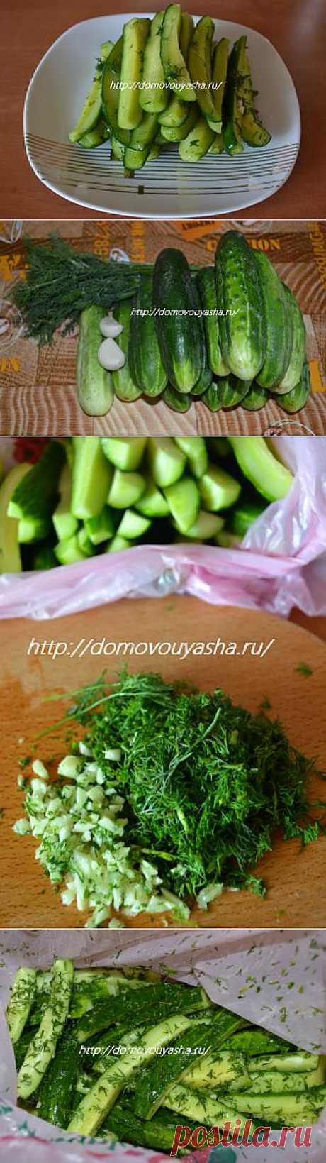 Малосольные огурцы быстрого приготовления, рецепт. | Народные знания от Кравченко Анатолия
