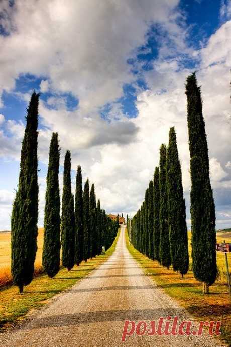 La strada - Terre Senesi, Tuscany, Italy  |  Пин от пользователя Paula Caiado на доске Roads...Paths...Trails...Boardwalks...