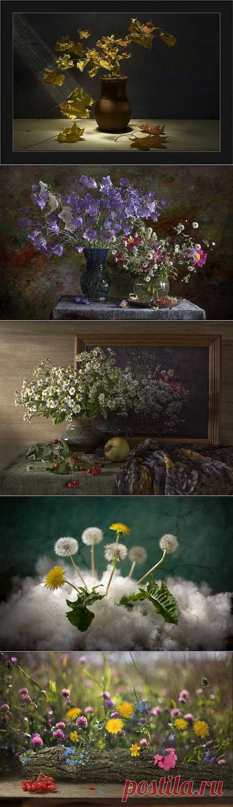 140 Still Lifes Art Photos by Igor Kolosov (144 фото) » Картины, художники, фотографы на Nevsepic