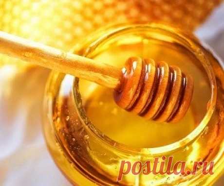 Чеснок и мед натощак в течение 7 дней — рецепт здоровья Чеснок — это один из самых популярных в мире кулинарных ингредиентов, который используется практически во всех национальных кухнях. 