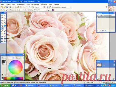 PAINT.NET. КАК СДЕЛАТЬ ЦВЕТНУЮ ФОТОГРАФИЮ ЧЕРНО-БЕЛОЙ