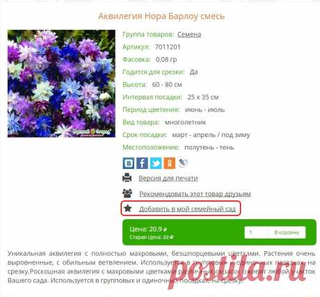 Алоказия Полли: описание сорта, фото. Купить с доставкой или почтой России.