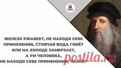 Железо ржавеет, не находя себе применения, стоячая вода гниёт или на холоде замерзает, а ум человека, не находя себе применения, чахнет

#KONSPEKTYNET #Цитаты #ЦитатыВеликих #МудрыеМысли #Высказывания #Афоризмы #ЛеонардоДаВинчи #Труд #Работа #Трудности #Препятствия #Цель #Хобби #Время #Достижения