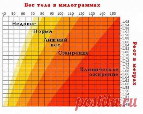 Полезная таблица соотношения роста и веса