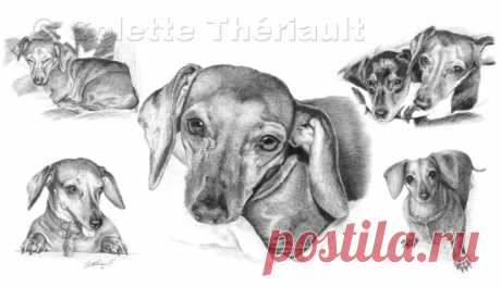 Миниатюрная такса графитовый карандаш рисунок собаки-портреты домашних животных рисунок на заказ графитовый карандаш портреты домашних животных-памятный подарок питомцу