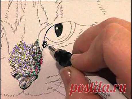 Creating Textures in Pen &amp; Ink with Watercolor Claudia Nice, Part 2 - YouTube