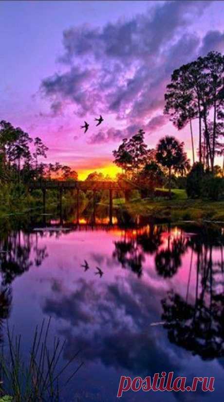 Purple sunset over Riverbend Park in Jupiter, Florida • photo: Justin Kelefas | Brenda Woods приколол(а) это к доске Sunrise/Sunset