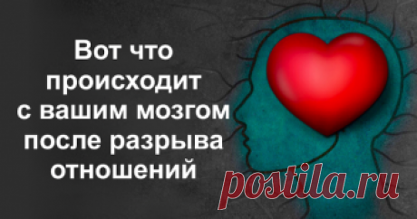 Что происходит с вашим мозгом после разрыва отношений? Как оказалось, человеческий мозг реагирует на любовь, как на наркотики...