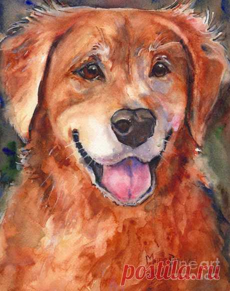 Golden Retriever Dog in watercolor by Maria Reichert Golden Retriever Dog in watercolor Painting by Maria Reichert