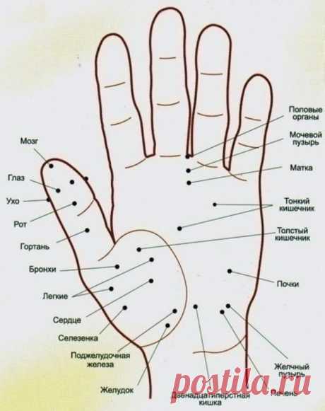 Какие точки на ладони помогут при плохом самочувствии
