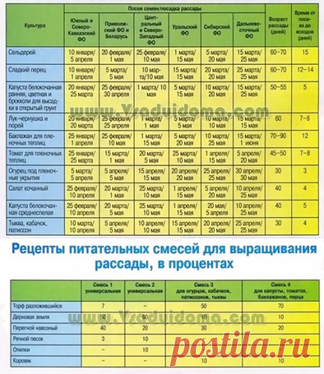 Сроки посева семян и посадки рассады - памятка | Сайт о саде, даче и комнатных растениях.