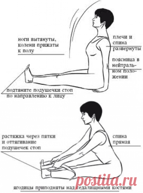 Жесткие подколенные сухожилия - ловушка для спины.