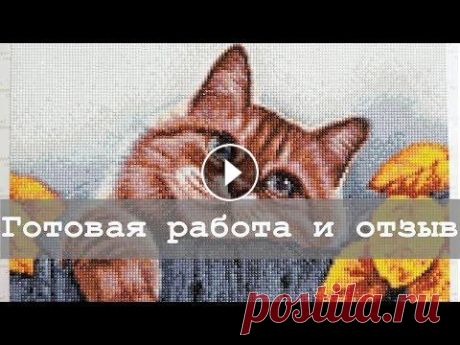 Деревенский кот от Гранни | Готовая работа | Алмазная вышивка и не только Приглашаю вас сегодня вместе со мной завершить процесс с деревенским котом! Уже после того, как загрузила видео, заметила, что в работе осталась одна ...