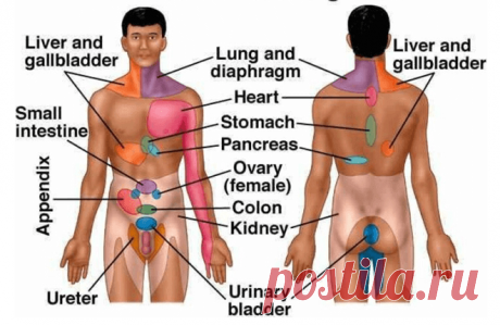 9 типов отраженной боли, которую нельзя игнорировать