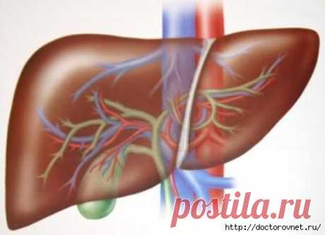 Рецепт для восстановления печени