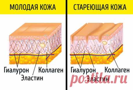 Как в 50 выглядеть на 30: японский секрет долголетия и здоровья - запись пользователя Karra Opire (id2647687) в дневнике - Babyblog.ru