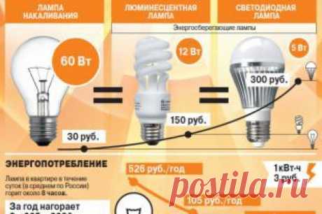 Какие лампы самые экономные? Инфографика | Полезные инструкции от aif.ru