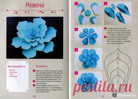 цветы из бумаги своими руками схемы шаблоны: 14 тыс изображений найдено в Яндекс.Картинках