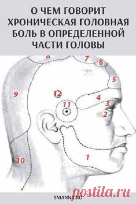 О чем говорит хроническая головная боль в определенной части головы

Согласно представлениям Аюрведы, изложенным в книге известного врача и философа Хариша Джохари, постоянная боль в определенных областях головы, преследующая человека, может свидетельствовать о неполадках в здоровье совсем иных органов
При этом головная боль в определенной части головы говорит о конкретных нарушениях в том или ином органе. На рисунке ниже представлены участки постоянной головной боли,