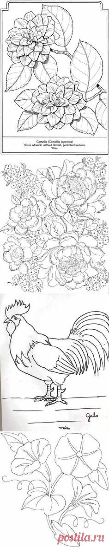 hobby - tekeningen on Pinterest | 5072 Pins