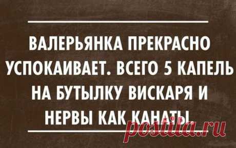 Картинки с юмором: прикольные надписи и фразы | В темпі життя