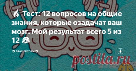 🔥 Тест: 12 вопросов на общие знания, которые озадачат ваш мозг. Мой результат всего 5 из 12 😱