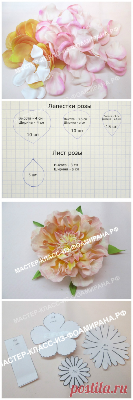 Выкройка розы из фоамирана (шаблоны цветка и лепестков) | Мастер-класс из фоамирана