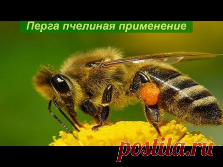 Компания Тенториум. Продукты пчеловодства - Тенториум Самара. Продукты пчеловодства.