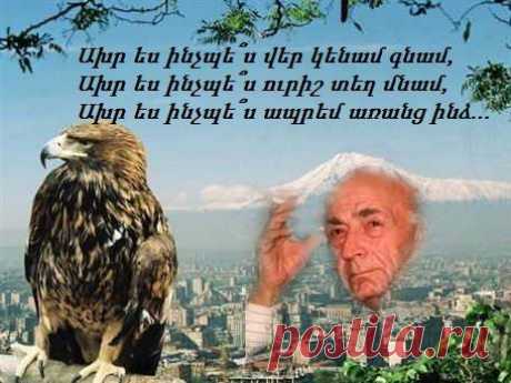 Այսօր ՀԱՄՈ ՍԱՀՅԱՆԻ ծննդյան օրն է.....
******************
«Ախր ես ինչպե՜ս վեր կենամ գնամ»
Ախր ես ինչպե՜ս վեր կենամ գնամ,
Ախր ես ինչպե՞ս ուրիշ տեղ մնամ:
Ախր ուրիշ տեղ հայրեններ չկան,
Ախր ուրիշ տեղ հորովել չկա,
Ախր ուրիշ տեղ սեփական մոխրում
Սեփական հոգին խորովել չկա,
Ախր ուրիշ տեղ
Սեփական բախտից խռովել չկա:
Ախր ես ինչպե՞ս վեր կենամ գնամ,
Ախր ես ինչպե՞ս ուրիշ տեղ մնամ:
Ախր ուրիշ տեղ
Հողի մեջ այսքան օրհնություն չկա,
Այսքան վաստակած հոգնություն չկա,
Ախր ուրիշ տեղ ձյունի մեջ` արև,
