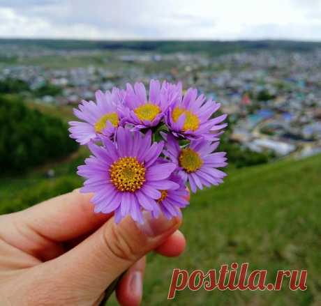 Дорогие наши подписчики! Спасибо, что вы с нами, за ваш интерес и добрые слова! Я ценю!❤