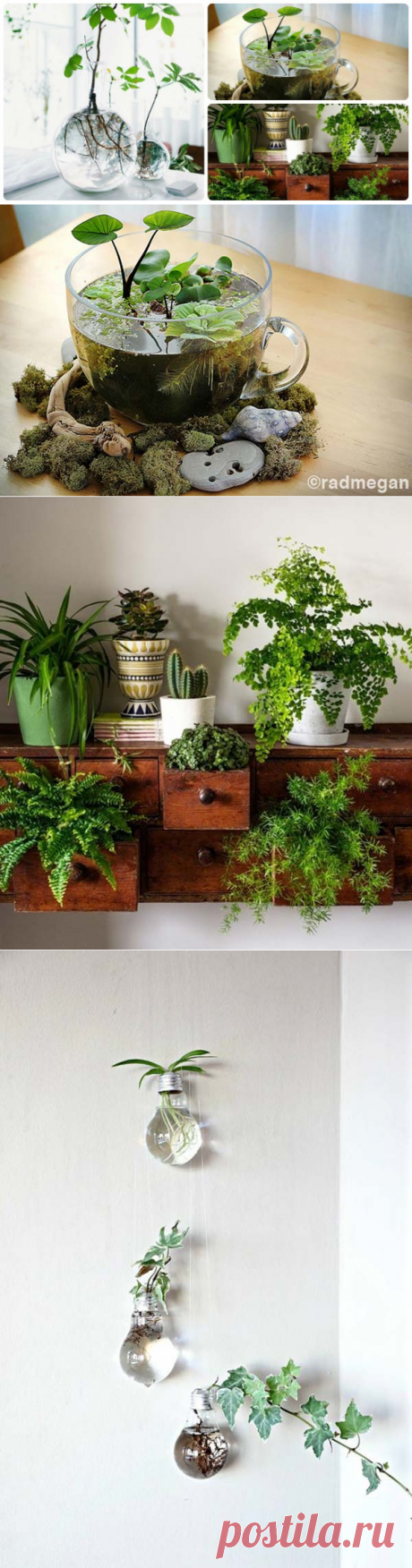 Вот так сиюминутные &quot;изделия&quot; выдают за декор интерьера ))) 
Build Your Indoor Mini Garden: Look at These 10 Smart Ideas! | Site For Everything