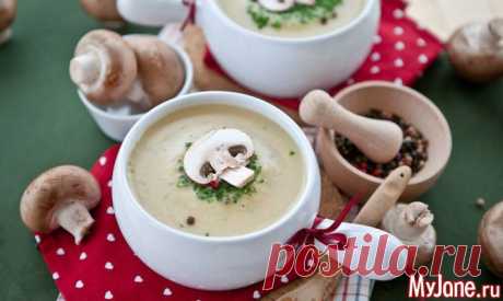 Рецепты супов - грибной суп, борщ, сырный суп, рецепты первых блюд, рассольник,