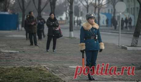 В Северной Корее, похоже, красивые девушки идут не покорять модельный мир, а служить в дорожной полиции
